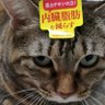 うにお profil fotoğrafı