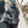 ふたひろ3939 profil fotoğrafı