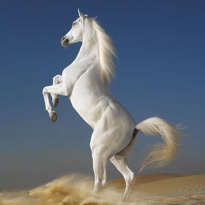 baburoom777's profile picture