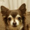 ひめ's profile picture