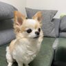 とぉる!'s profile picture