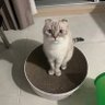 Noi profil fotoğrafı