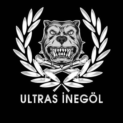 UltrasInegol's profile picture