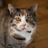 Фото профиля Beatrice Killam