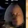 Amorim's profile picture