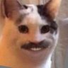 Jesse Julian's profile picture