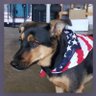 Donna D. 🇺🇸🙏🇺🇸🙏 的头像