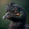 godzilla duck 的头像
