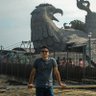 siddharth0x.eth's profile picture