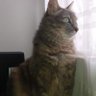 Locura sagrada.'s profile picture
