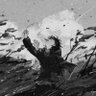Vuslat Ekici 🇵🇸's profile picture