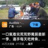 不修仙你还能干啥's profile picture