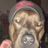 Profilbild von Josh