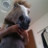 コンビニの人's profile picture