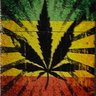 Stereotyped.'s profile picture