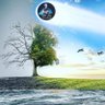 fodil nouh profil fotoğrafı