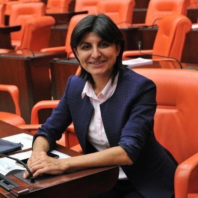 Dr.Sibel Özdemir's profile picture