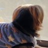 Profilbild von りゃんた✋😈🤚