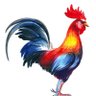 Profilbild von JesMah