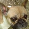conrad marcel's profile picture