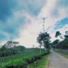 Фото профиля Langit Biru
