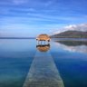 Profilbild von Michael Joseph