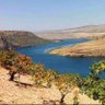 Üstad Ramazan KOCA profil fotoğrafı