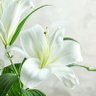 Фото профиля عبدالله