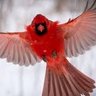 Фото профиля 2FollowCards