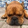 CryptoJ profil fotoğrafı