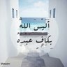 Mohamed Hassan 的头像