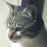 TahaTrn's profile picture