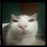 Rednax's profile picture