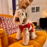 Bertie Lakeland profil fotoğrafı