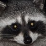 sin nombre's profile picture