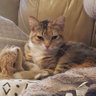 Profilbild von Kat