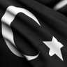 Ligarbalar™🇹🇷's profile picture