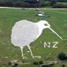 The Bulford Kiwi profil fotoğrafı