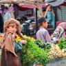 Profilbild von Real afghan ✿