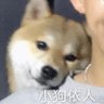 玛卡巴卡 profil fotoğrafı