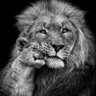 Guru Mwafriqa™ profil fotoğrafı