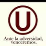 Profilbild von HinchaCremaNúmero3