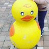 ぷてら! 的头像