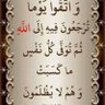 Фото профиля عبيد الله (وكفى)