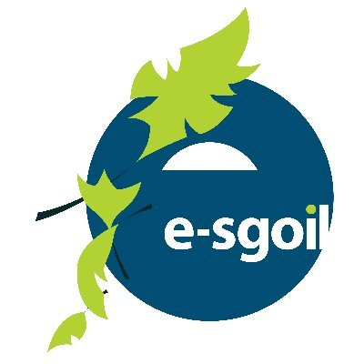 eSgoil's profile picture