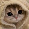 ๐ฑ ็ๅคดๅ