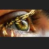Фото профиля green eyed G