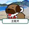 ジャビ丸's profile picture
