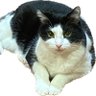 Susan Reedy's profile picture