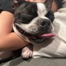 Profilbild von Mark